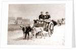 Dogs pulling women on a cart, Antwerp by James Batkin