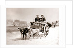 Dogs pulling women on a cart, Antwerp by James Batkin