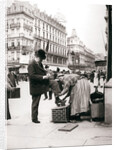 Woman polishing shoes, Brussels by James Batkin