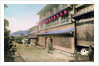 Maruyama, Nagasaki, Japan by Anonymous