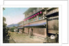 Maruyama, Nagasaki, Japan by Anonymous