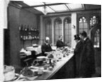 The Lobby Bar, House of Commons, Westminster, London by Anonymous