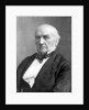 William Ewart Gladstone, 19th century British Liberal statesman and prime minister by London Stereoscopic & Photographic Co