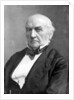 William Ewart Gladstone, 19th century British Liberal statesman and prime minister by London Stereoscopic & Photographic Co
