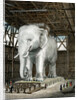 Model of the Elephant of the Place de la Bastille by Fenner Sears & Co