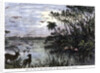 View on one of the Tributaries of the St John River, Florida by Anonymous