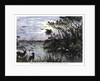 View on one of the Tributaries of the St John River, Florida by Anonymous