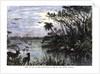 View on one of the Tributaries of the St John River, Florida by Anonymous