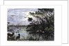 View on one of the Tributaries of the St John River, Florida by Anonymous