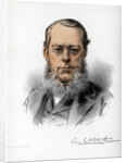 Richard Assheton Cross, 1st Viscount Cross, British statesman by Cassell