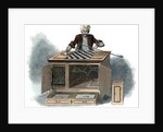 The Automaton Chess Player by Anonymous