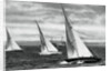 Six metre R class sailing, Berlin Olympics by Anonymous