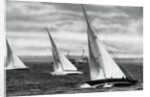 Six metre R class sailing, Berlin Olympics by Anonymous