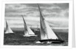 Six metre R class sailing, Berlin Olympics by Anonymous