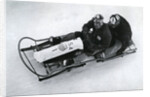 American two man bobsleigh team, German winter olympic games by Anonymous