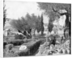 The Garden of Gethsemane, Palestine by John L Stoddard