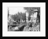 The Garden of Gethsemane, Palestine by John L Stoddard