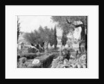 The Garden of Gethsemane, Palestine by John L Stoddard