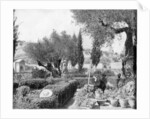 The Garden of Gethsemane, Palestine by John L Stoddard