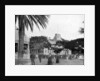 Royal Palace, Honolulu, Sandwich Islands by John L Stoddard