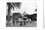 Royal Palace, Honolulu, Sandwich Islands by John L Stoddard