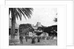 Royal Palace, Honolulu, Sandwich Islands by John L Stoddard