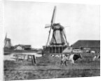Dutch windmills, Holland by John L Stoddard