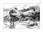 When the Sea Gives up its Dead by MJ Blatchford