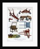 Sundry New-invented Implements by J Pass