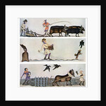 Ploughing, sowing, and harrowing, c1300-1340, (c1900-1920) by Anonymous