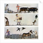 Ploughing, sowing, and harrowing, c1300-1340, (c1900-1920) by Anonymous