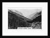 Kicking Horse River, British Columbia, Canada by Anonymous