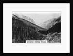 Kicking Horse River, British Columbia, Canada by Anonymous