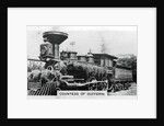 'Countess of Dufferin', Canada by Anonymous