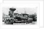 'Countess of Dufferin', Canada by Anonymous