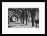 The Cellarium, Fountains Abbey, Yorkshire by Anonymous
