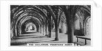 The Cellarium, Fountains Abbey, Yorkshire by Anonymous