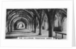 The Cellarium, Fountains Abbey, Yorkshire by Anonymous