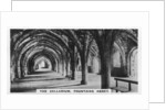 The Cellarium, Fountains Abbey, Yorkshire by Anonymous