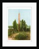Obelisk at Heliopolis, Egypt by W Dickens