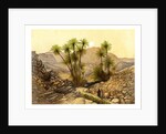 The Desert of Sinai, Egypt by W Dickens