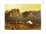 Mount Sinai, Egypt by W Dickens