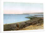 The Dead Sea by W Dickens