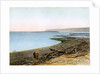 The Dead Sea by W Dickens