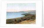 The Dead Sea by W Dickens