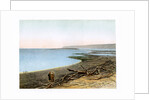 The Dead Sea by W Dickens