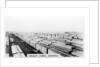 Freight yards, Winnipeg, Manitoba, Canada by Anonymous