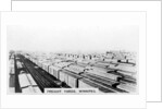 Freight yards, Winnipeg, Manitoba, Canada by Anonymous