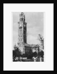 University Garden, Bombay, India by Anonymous
