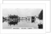 Golden Temple, Amritsar, India by Anonymous